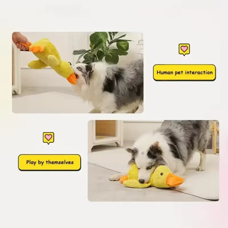 Interactive Duck Dog Toy