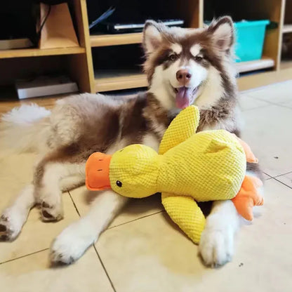 Interactive Duck Dog Toy